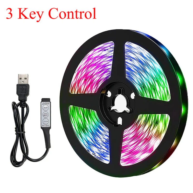 10M/20M RGB 5050/RGBIC LED Strip Lights with WS2812B Infrared Bluetooth Controller for TV Backlighting and Room Decoration